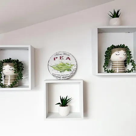 Apartment Studio-apartman 